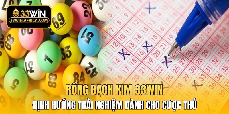 Định hướng trải nghiệm dành cho cược thủ